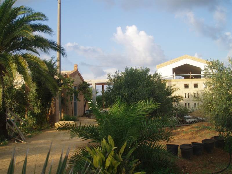 Photo 10